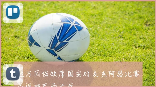 达万因伤缺席国安对麦克阿瑟比赛已返回巴西治疗