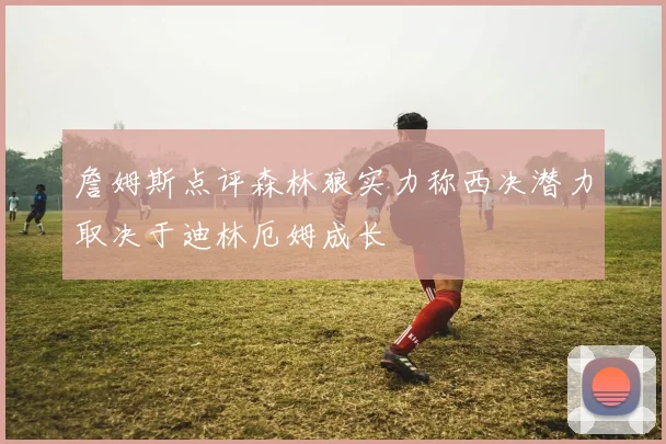 詹姆斯点评森林狼实力称西决潜力取决于迪林厄姆成长