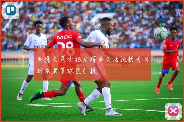 老鹰交易吹杨后薪资灵活性提升目标浓眉等球星引援