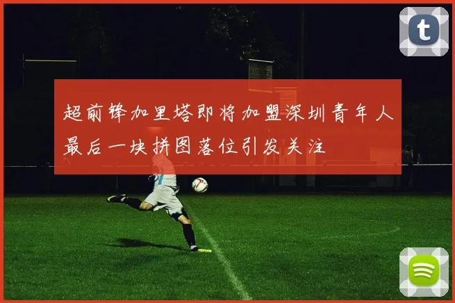 超前锋加里塔即将加盟深圳青年人最后一块拼图落位引发关注