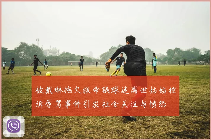 被戴琳拖欠救命钱球迷离世姑姑控诉辱骂事件引发社会关注与愤怒