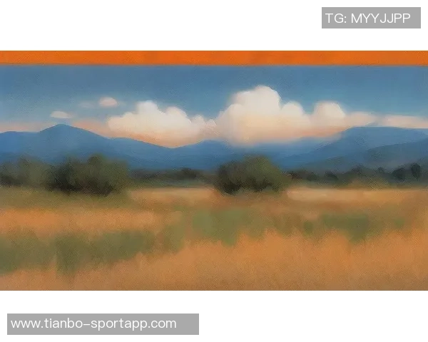 西部天空的色彩变幻与自然之美的深刻探索